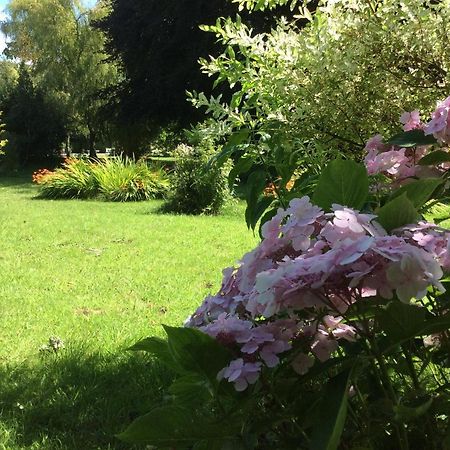 Au Fil Du Crembreux Bed & Breakfast Marquise Bagian luar foto