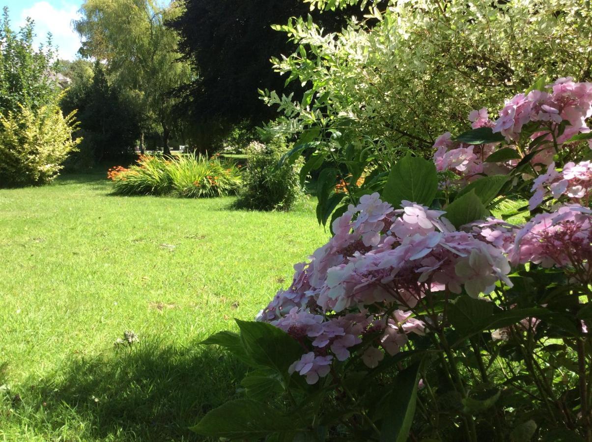 Au Fil Du Crembreux Bed & Breakfast Marquise Bagian luar foto